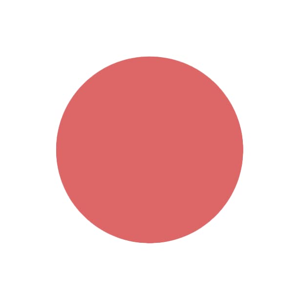 SABRENT 1TB Rocket Nano Externe Aluminium-SSD Bis zu 1000MB/s (Pink) (SB-1TB-NANO-PNK)