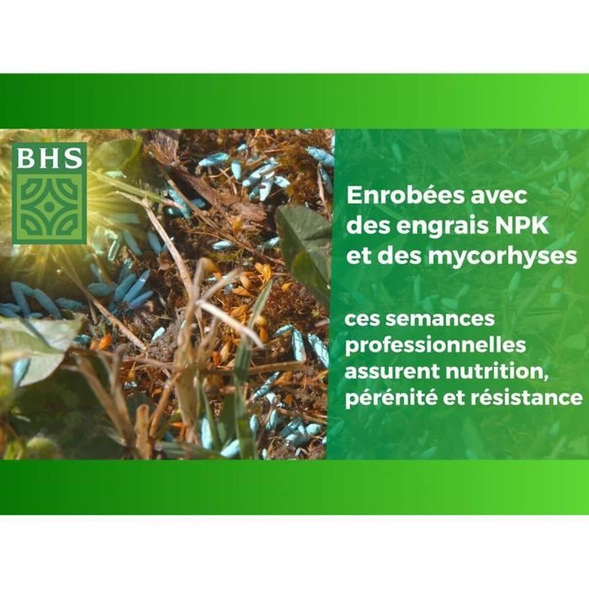 V4H2B350ADA2CEDA7BE6203A2911E641467R7178567P5