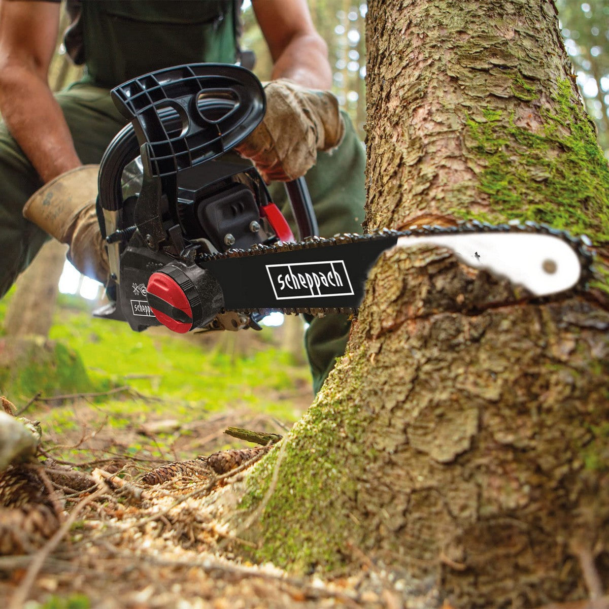 V11HF62EC55D24F146C521F468AE7D88576FR3384867P6