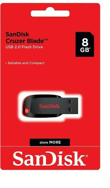 SanDisk 8GB Cruzer Blade USB-Stick 2er-Pack SDCZ50-008G-B35 – Bundle mit 1 „Everything But Stromboli“-Lanyard