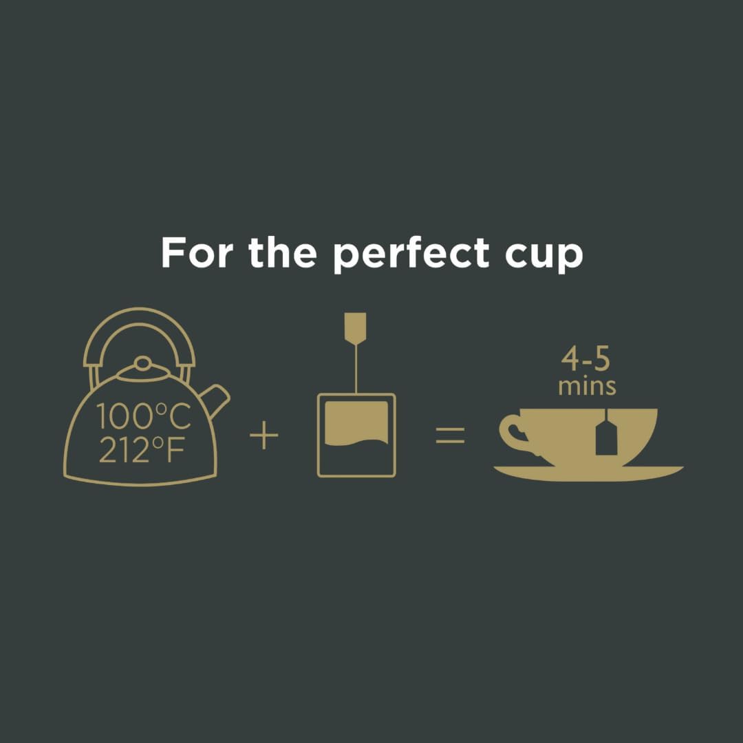 Taylors of Harrogate English Breakfast, Schwarzer Tee, Kissen-Teebeutel, 50 Stück (1 Packung), Kräftig, spritzig & malzig, koffeinhaltig, heiß oder eisgekühlt genießen, 50 Teebeutel