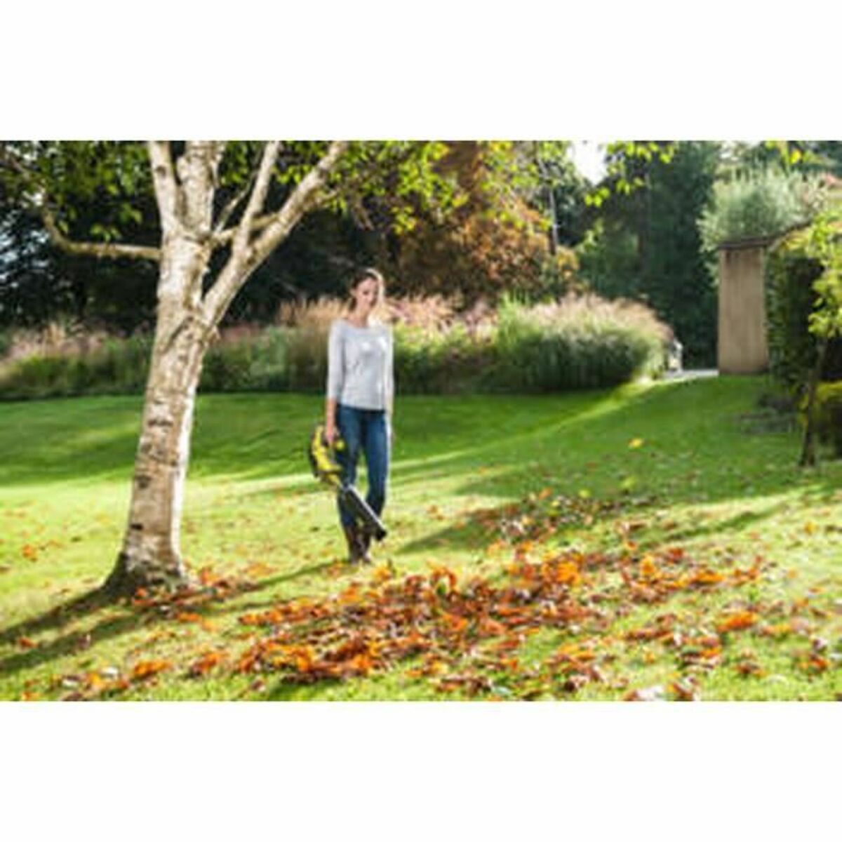 V5HC32CD4B0B1868661A66155C3F7C3B8A7R6849366P5