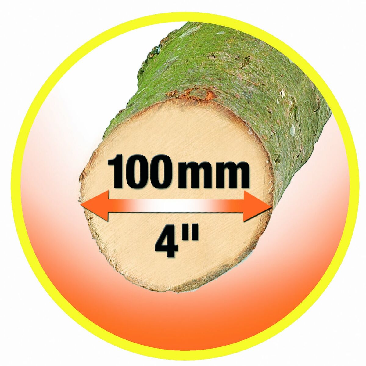 V6HD3A600DFF35E64F9B13FF03E0C141823R7023314P6