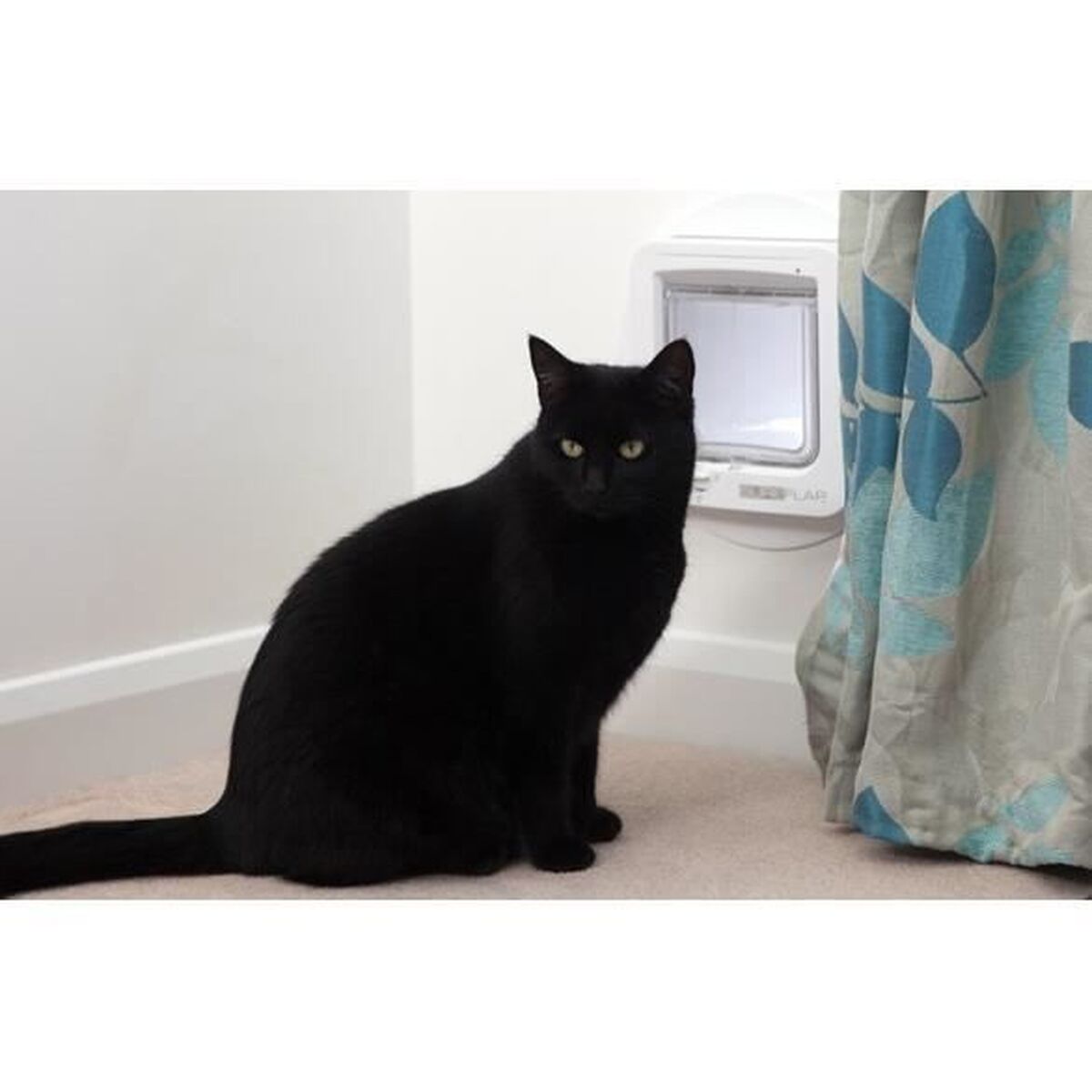 V10HA3F01913E9BC4032AADC96CA63E5DFEER7391565P3