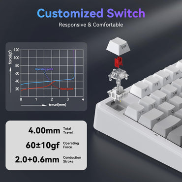 TECURS 75% Mechanische Tastatur für Gaming & Büro, angenehmer Klang, Dichtungsmontage, Hot-Swap-fähige RGB-Hintergrundbeleuchtung, 81 Tasten für Laptop/PC/Mac, 2,4-GHz-/Bluetooth-/Kabelbetrieb, Farbverlauf Grau