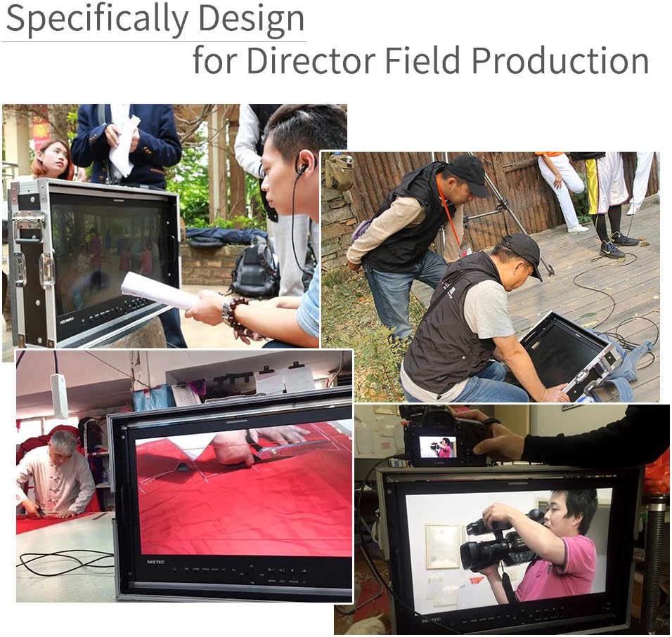 SEETEC P173-9HSD-CO 17,3-Zoll-Handymonitor für Broadcast-Produktionsleiter mit 3G-SDI-, HDMI- und YPbPr-Ein- und -Ausgang, Aluminiumgehäuse, Full HD 1920×1080