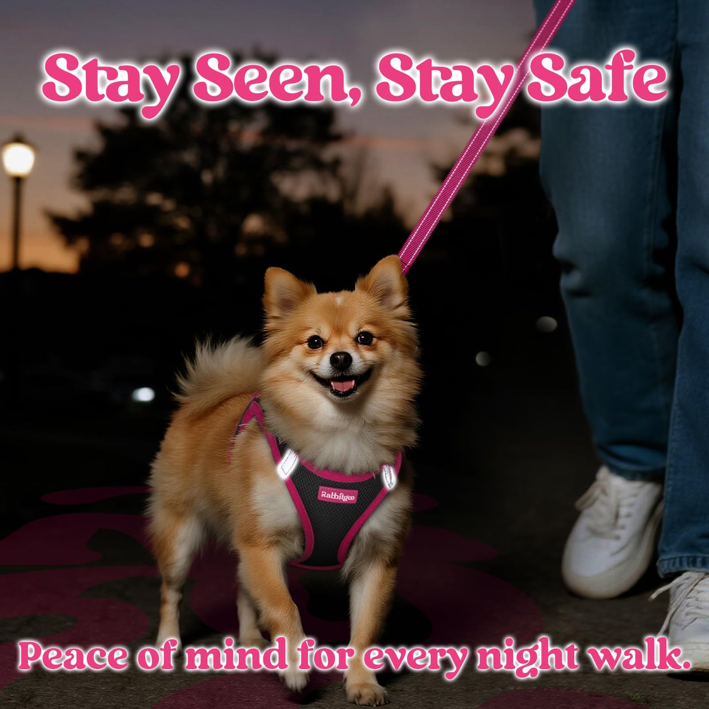 rabbitgoo Hundegeschirr und Leine, Größe S, atmungsaktives Einstiegsgeschirr, weiche, reflektierende Welpenweste für kleine Hunde, Schwarz & Rosarot, Größe S