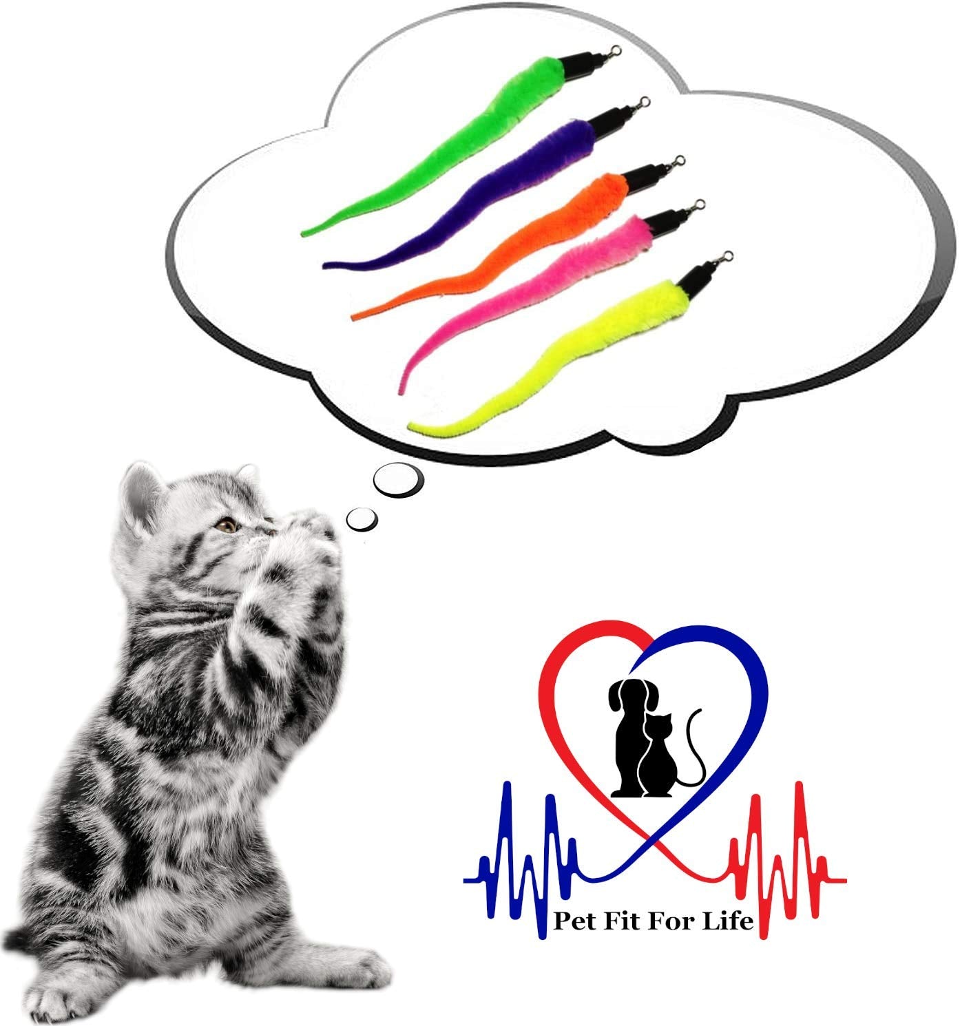 Pet Fit For Life Katzenangel-Spielzeug: 5-teiliger Wurm-Spiel- und Trainingsstab – Robustes Spielzeug für Katzen – Interaktiver Spielspaß für die Fitness Ihrer Katze