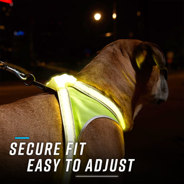 Noxgear LightHound - Revolutionäres beleuchtetes und reflektierendes Hundegeschirr mit mehrfarbigen LED-Lichtleitern (USB-aufladbar, verstellbar, leicht, regendicht) (Größe L)