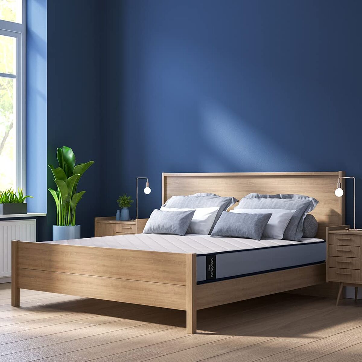 V2HF561B99AEB9E25054F4D47F1557AF5F1R7604042P8