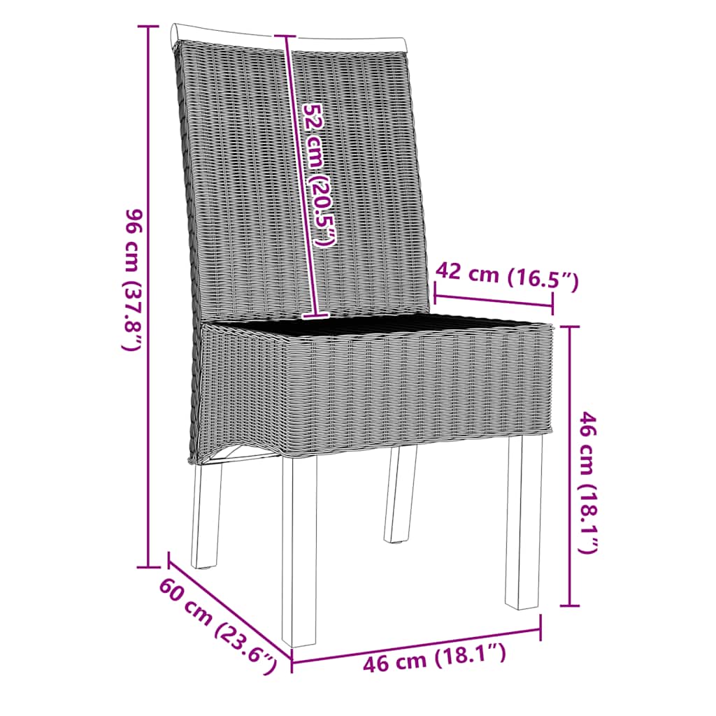 vidaXL Chaises de salle à manger 2 pcs Marron Rotin naturel