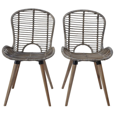 vidaXL Chaises de salle à manger 2 pcs Marron Rotin naturel