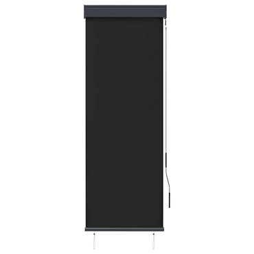 vidaXL Store extérieur 60 x 250 cm Anthracite