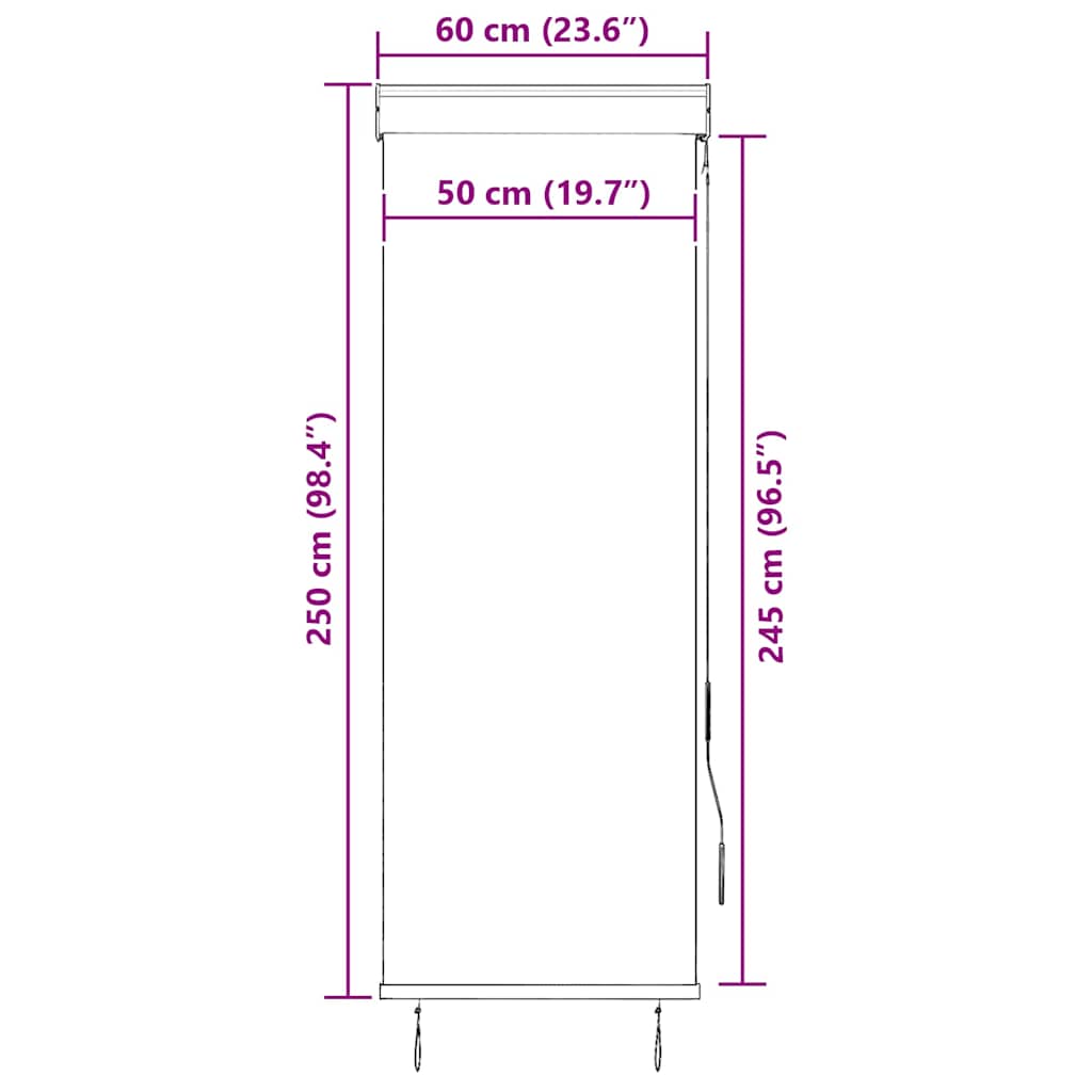 vidaXL Store extérieur 60 x 250 cm orange et marron