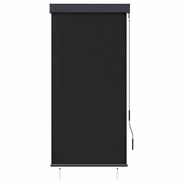Store extérieur vidaXL 80 x 250 cm anthracite