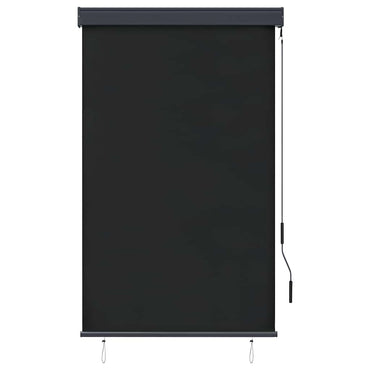 Store extérieur vidaXL 100 x 250 cm Anthracite