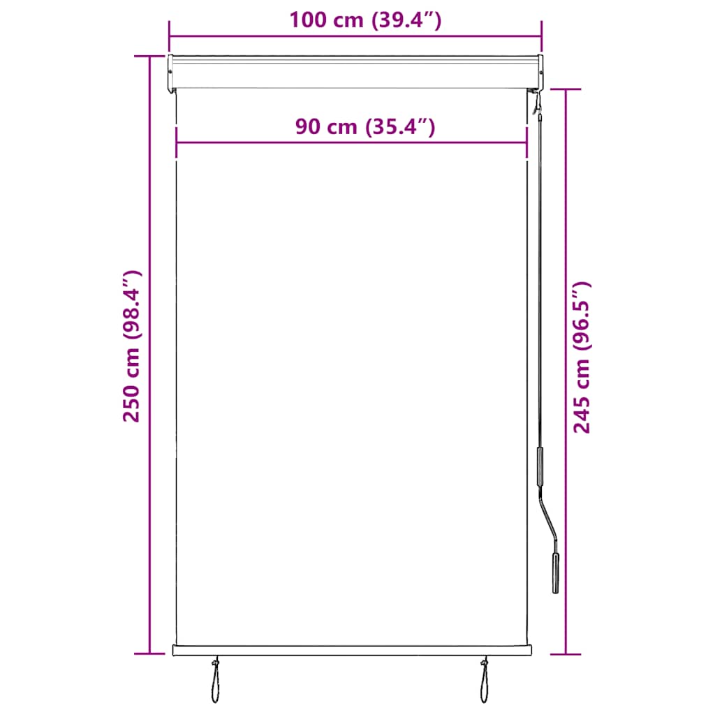 Store extérieur vidaXL 100 x 250 cm Anthracite