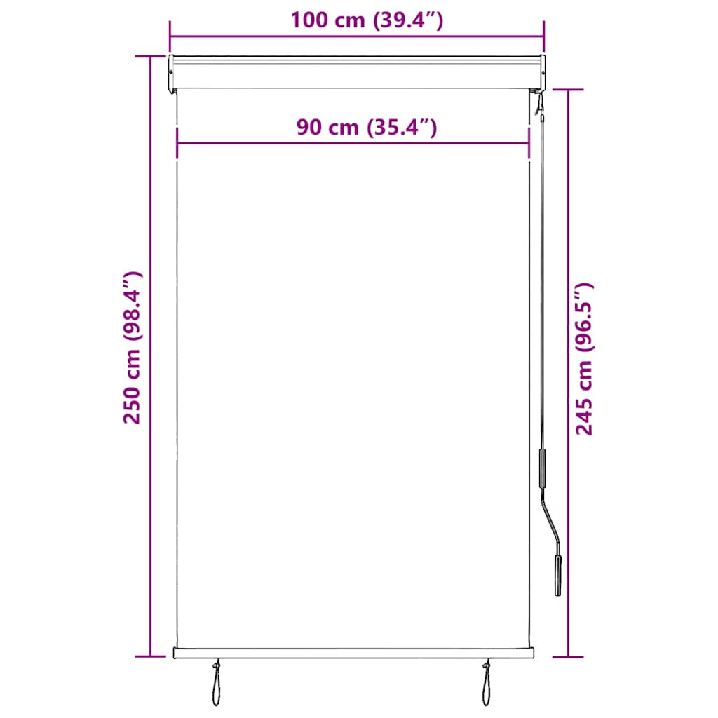 vidaXL Store enrouleur d'extérieur 100 x 250 cm Blanc crème
