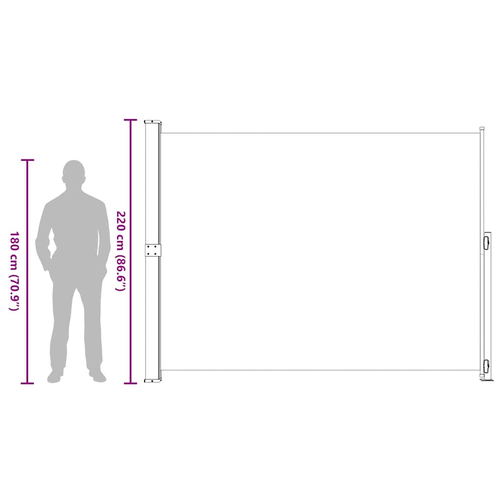 Seitenmarkise Ausziehbar 220x300 cm Grau