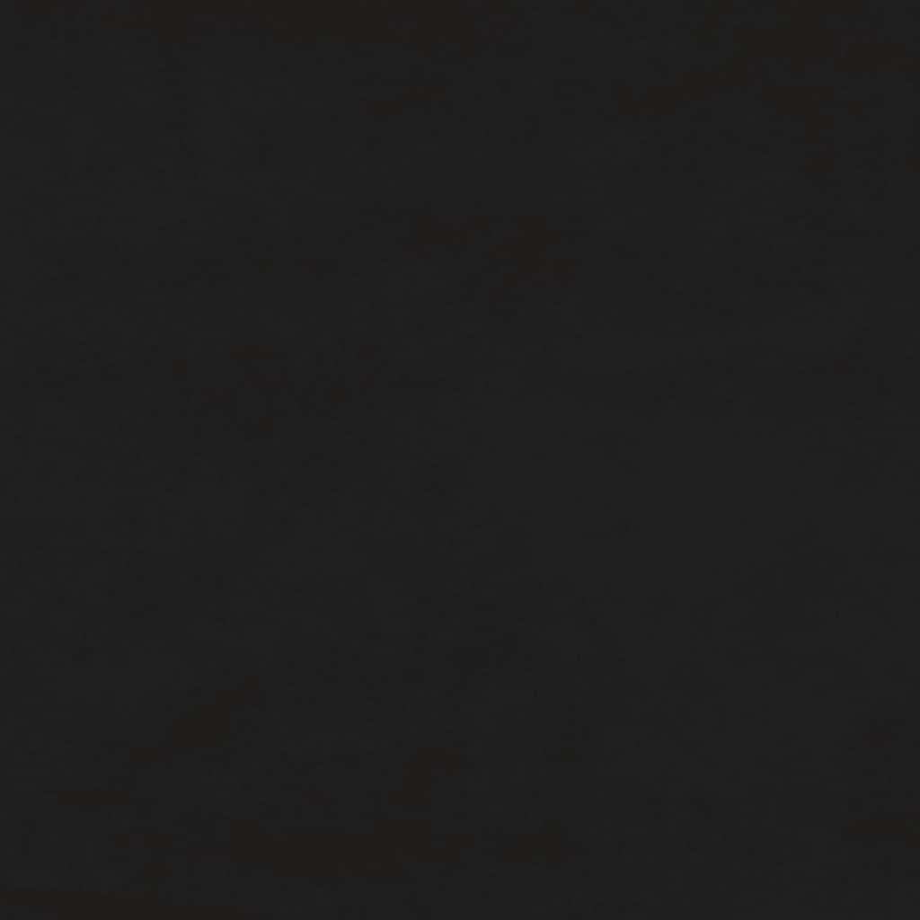 Schlafsofa 2-Sitzer mit 2 Kissen Schwarz Samt