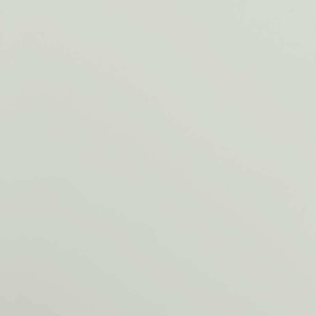 vidaXL Armoire de classement Gris clair 90x40x180 cm Acier