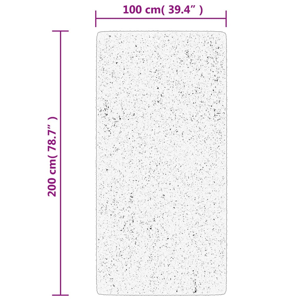 vidaXL Teppich IZA Kurzflor Skandinavischer Look Grau 100x200 cm