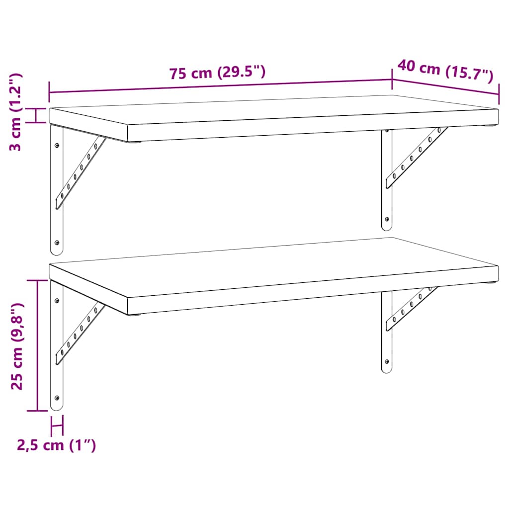vidaXL Wandregale 2 Stk. 75x40 cm Schwarz Edelstahl