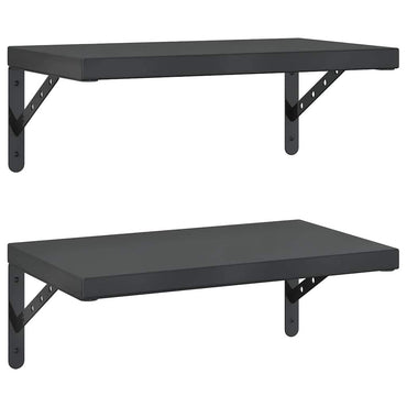 vidaXL Wandregale 2 Stk. 50x30 cm Schwarz Edelstahl