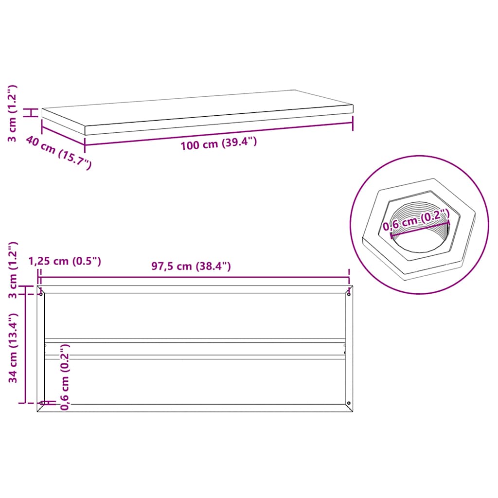 vidaXL Wandregale 2 Stk. 100x40x3 cm Schwarz Edelstahl