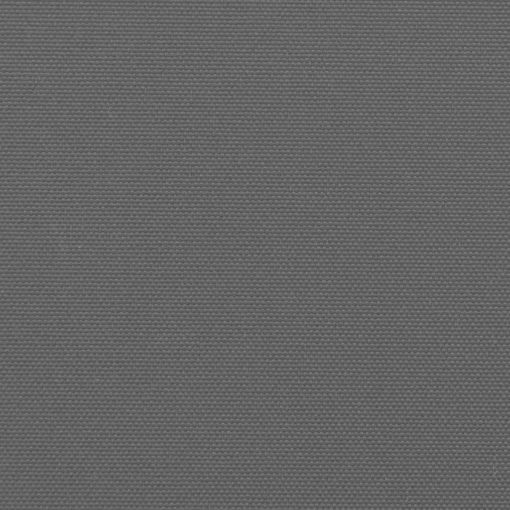 Ausziehbare Seitenmarkise Anthrazit 120x500 cm