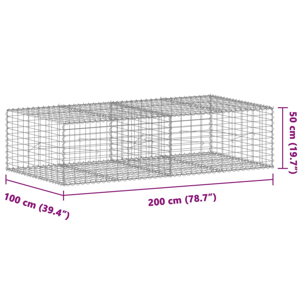 vidaXL Gabione mit Deckel 200x100x50 cm Verzinktes Eisen