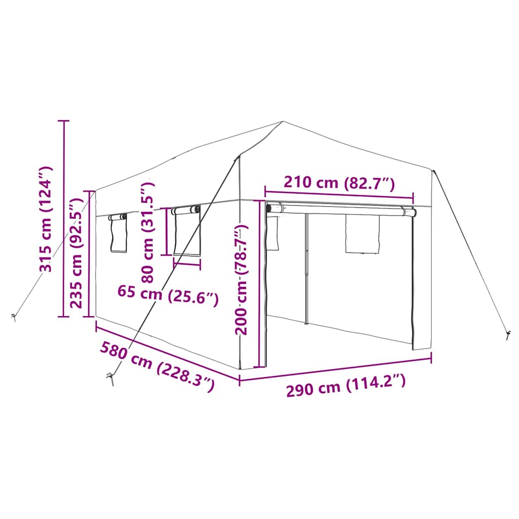 Gewächshaus mit Pop-up-Rahmen Grün 290 x 580 x 315 cm Eisen