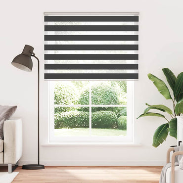 vidaXL Double store enrouleur Noir 165x230 cm Largeur tissu 160,9 cm Polyester