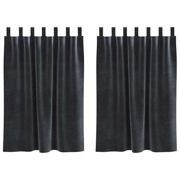 vidaXL Rideaux occultants 2 pcs Gris foncé 140 x 140 cm Velours