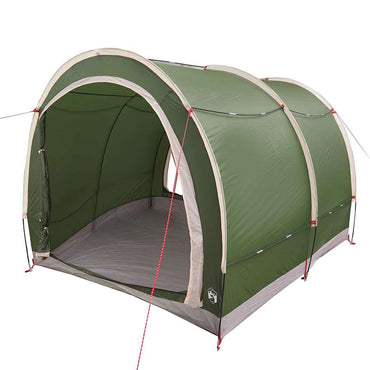 vidaXL Abri de vélo avec toit et espace de rangement Vert 256 x 222 x 182 cm