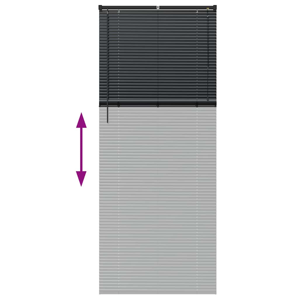 vidaXL Balkenjalousien Schwarz 220 x 90 cm Aluminium