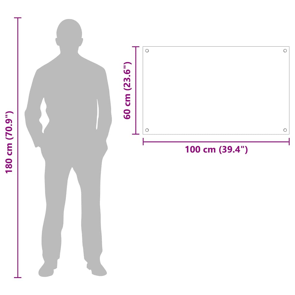 Küchenrückwand Transparent 100 x 60 cm Gehärtetes Glas