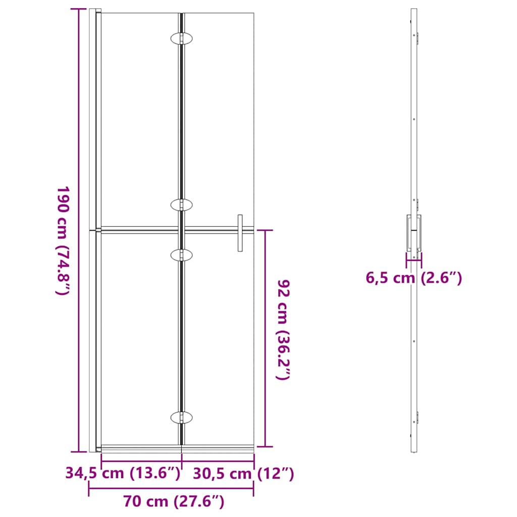 Walk-In Duschwand Schwarz 70 x 6,5 x 190 cm