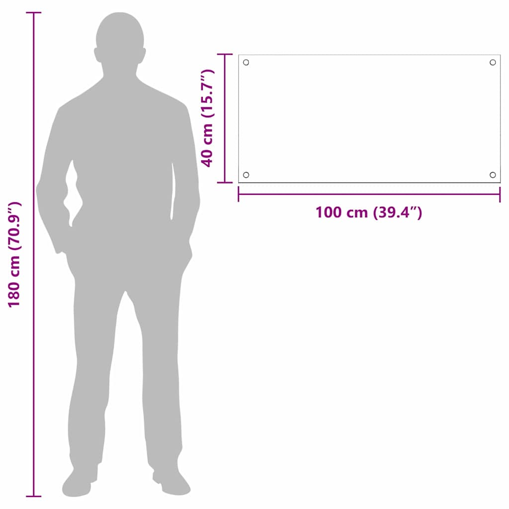 Küchenrückwand 2 pcs Transparent 100 x 40 cm Gehärtetes Glas