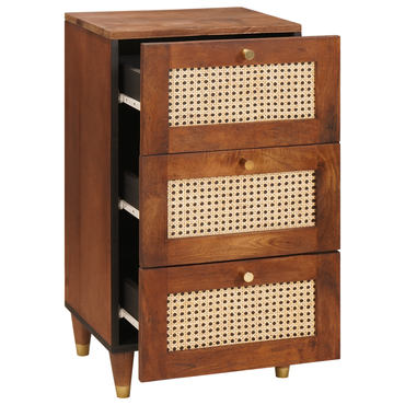 vidaXL Sideboard Braun 40 x 33,5 x 75 cm Massivholz Mango