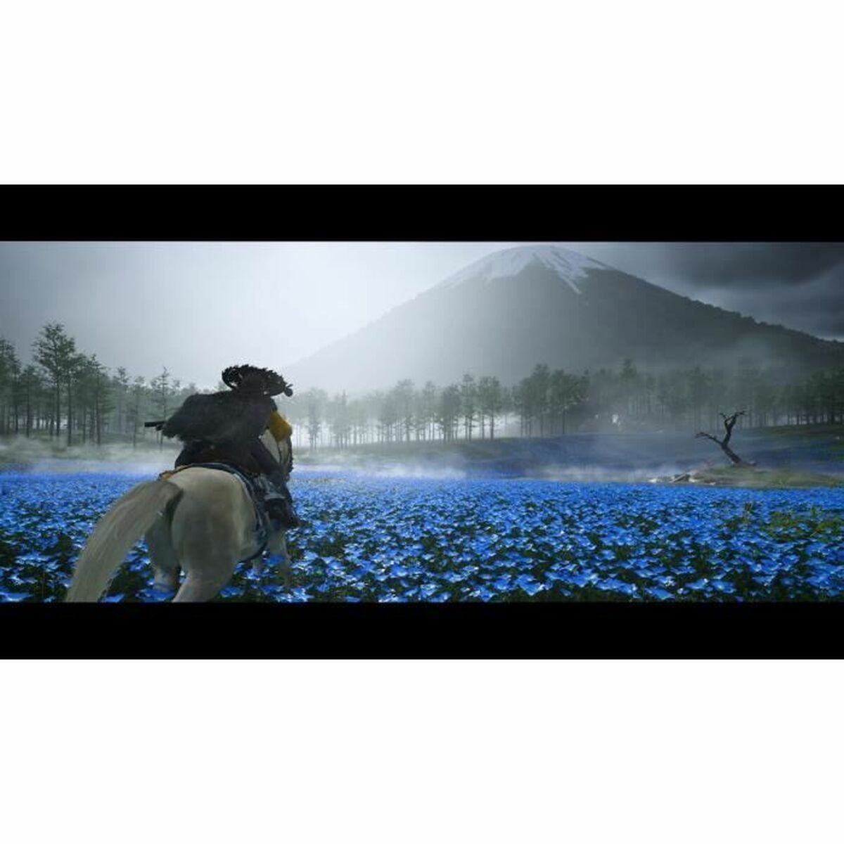 V3H8CA880EB894A10268F4D75AD2D76F648R7328131P2