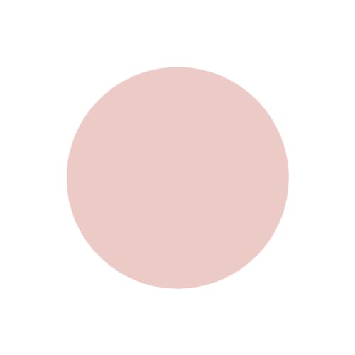 SABRENT 1TB Rocket Nano Externe Aluminium-SSD Bis zu 1000MB/s (Pink) (SB-1TB-NANO-PNK) 