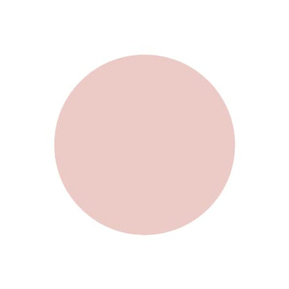 SABRENT 1TB Rocket Nano Externe Aluminium-SSD Bis zu 1000MB/s (Pink) (SB-1TB-NANO-PNK) 