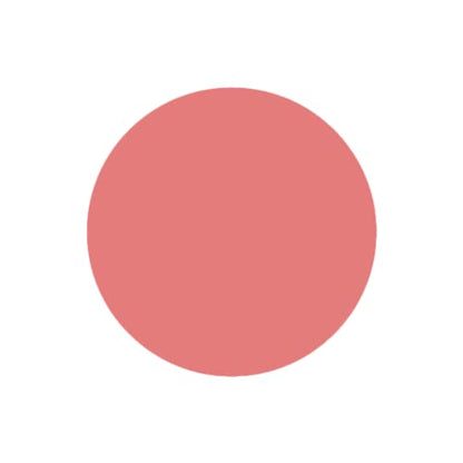 SABRENT 1TB Rocket Nano Externe Aluminium-SSD Bis zu 1000MB/s (Pink) (SB-1TB-NANO-PNK) 