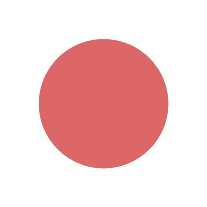 SABRENT 1TB Rocket Nano Externe Aluminium-SSD Bis zu 1000MB/s (Pink) (SB-1TB-NANO-PNK) 