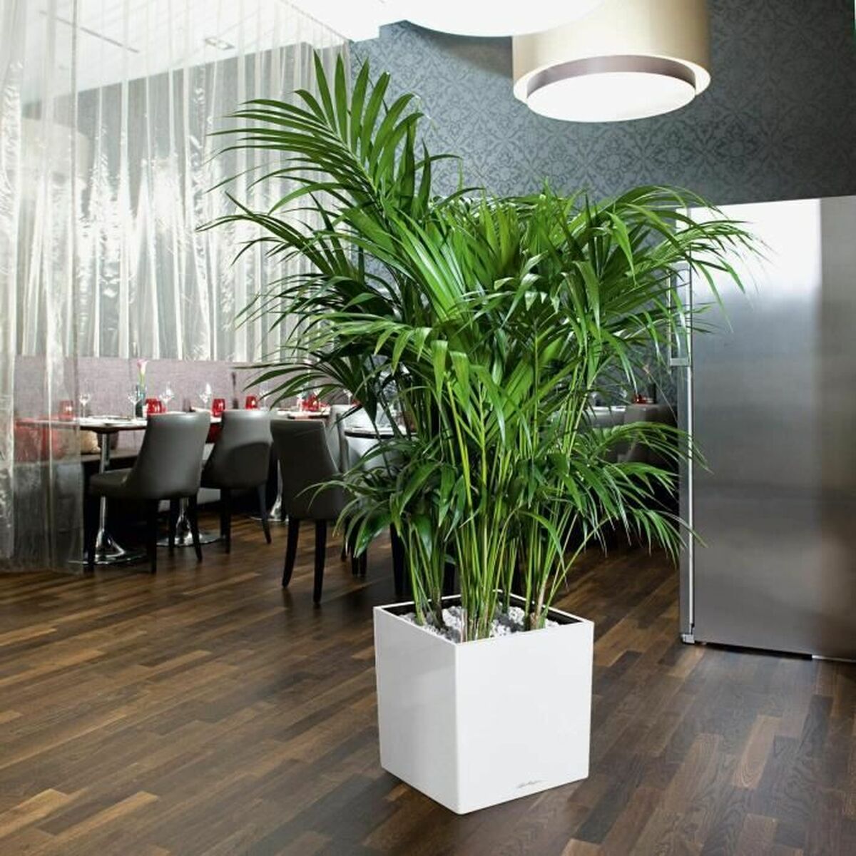 V6H8B62A9FED04D6161280174EBBA02ED80R7370380P3