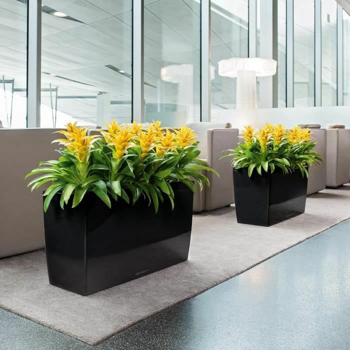 V6H877D989BD4C9CDA26E211774FC5296E5R7024136P4