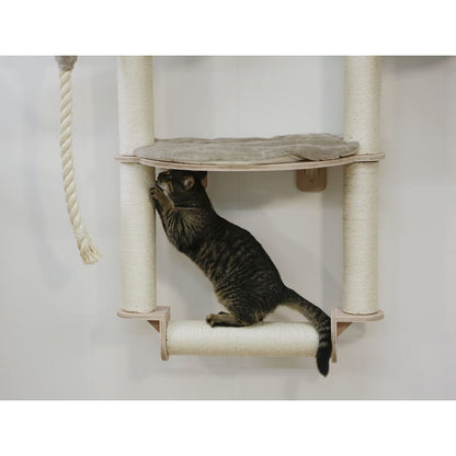 V2H6C5C9B92E91FDC67C831D830BD9BF9F9R7479784P6