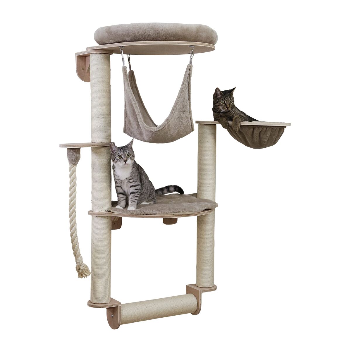 V2H43474EAAFB7EBECDAF1654396DA9F896R7479789P7