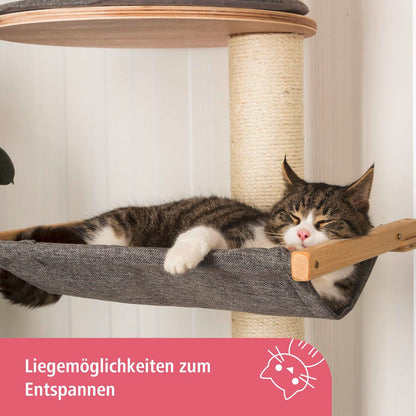 V2HD6F376C397213B6C019D9DD48EC2B98FR7479932P5